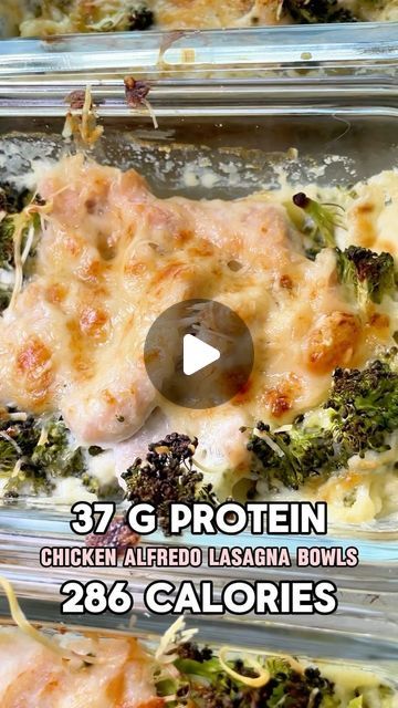 Lisa B on Instagram: "Chicken Alfredo lasagna bowls meal prep #mealprep #easymealprep #healthyalfredo #highprotein #highproteinmeals #easymeals #bariatric" Meal Prep Lasagna, Chicken Lunch Meal Prep, Protein Chicken Alfredo, Cheese Replacement, Single Meals, Hi Protein Meals, Makayla Food, Healthy Chicken Alfredo, Bariatric Meal Prep