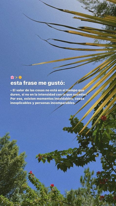 Frases Positivas Aesthetic, Frases Post Instagram, Spanish Quotes Inspirational, Quotes In Spanish, Loop Animation, Cute Spanish Quotes, Spanish Inspirational Quotes, Positive Phrases, Inspirational Phrases