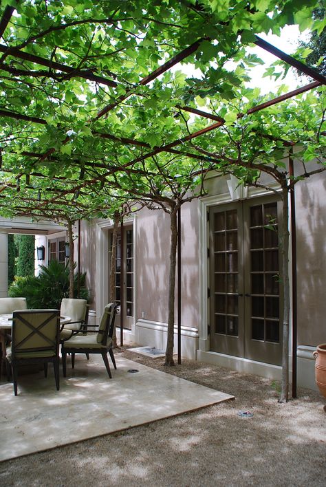 Elizabeth Everdell Garden Design Desain Lanskap, Patio Interior, Pergola Patio, Outdoor Pergola, Courtyard Garden, Backyard Patio Designs, Outdoor Rooms, Backyard Landscaping Designs, Backyard Design