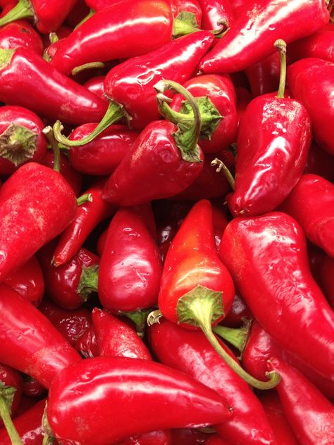 red jalapenos Paprika Spice, Red Jalapeno, Long Pepper, Hot Pepper Seeds, Capsicum Annuum, Hot Pepper Sauce, Mexican Cooking, Pepper Seeds, Hot Pepper