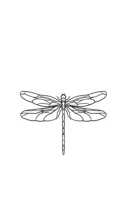 Dragonfly Drawing, Earthy Tattoos, Dragonfly Tattoo Design, Special Tattoos, Stick N Poke, Tattoo Outline Drawing, Sacred Geometry Tattoo, Tattoo Now, Cute Little Tattoos