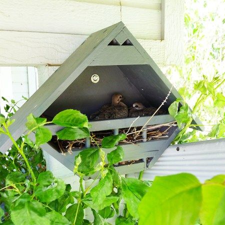 Barn Birdhouses, Dove House, Dove Bird, The Dove, Lovey Dovey, Bird Feeder, Twinkle Lights, Birdhouse, Diy Projects To Try