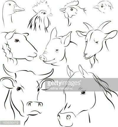 Simple farm animal drawing Farm Sketch Simple, How To Draw Farm Animals, Farm Animal Sketches, Farm Animal Tattoo, Farm Animal Drawings, Farm Doodles, Animals Sketches, Simple Animals, Horoscope Symbols