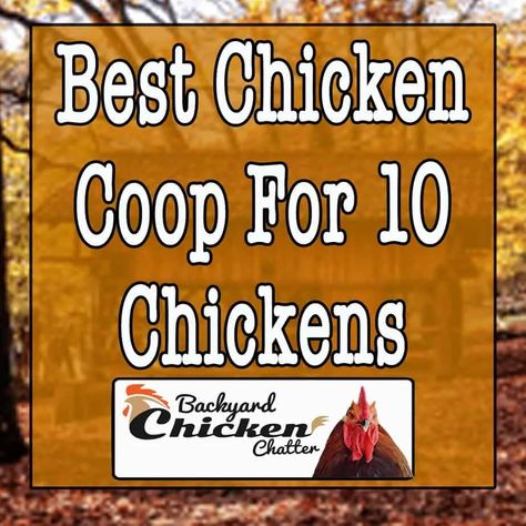 Easy Diy Chicken Coop Plans, Easy Diy Chicken Coop, Bantam Chicken Breeds, Chickens Backyard Breeds, Chicken Shed, Bantam Chickens, Backyard Chicken Coop Plans, Chicken Coup, Diy Chicken Coop Plans