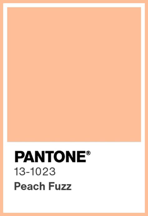 Our Pantone 2024 Color Of The Year FIRST Reactions... - Emily Henderson Peach Paint Colors, Pantone 2024, Latest Decorating Trends, Peach Paint, Deco Living Room, Color Me Mine, Color Boards, Vintage Appliances, 2024 Color