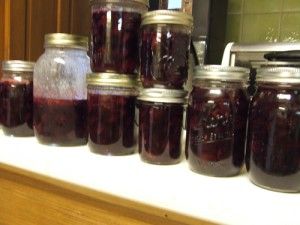 Muscadine Preserves Recipe, Grape Preserves, Muscadine Recipe, Grape Jam Recipe, Muscadine Jelly, Healthy Movie Snacks, Grape Trellis, Grape Harvest, Grape Jam