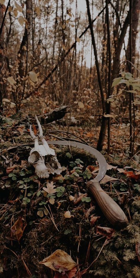 Slavic Witchcraft Aesthetic, Slavic Witch Aesthetic, Traditional Witchcraft Aesthetic, Nordic Witch Aesthetic, Folk Magic Aesthetic, Cernunnos Aesthetic, Samhain Aesthetic, Forest Witch Aesthetic, Autumn Witch