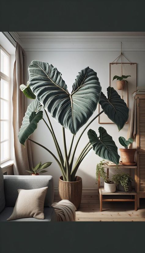 Bring the essence of the tropics to your home garden with these 10 exotic plants. Whether you have a green thumb or are a beginner, these plants will turn your garden into a tropical retreat. Sunny Living Room, Strelitzia Reginae, Tropical Retreat, Parlor Palm, Swiss Cheese Plant, Exotic Plants, Tropical Paradise, Top 10, Paradise