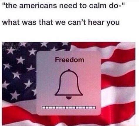 Awwww yeah! America Humor, Historical Humor, America Memes, Patriotic Quotes, History Jokes, The Americans, Clean Humor, Random Memes, Sarcastic Humor