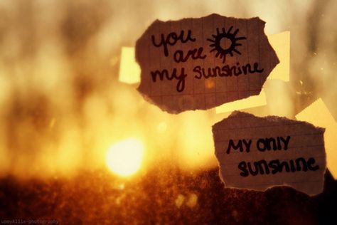 great song My Only Sunshine, Sunshine Love, Sweet Tattoos, You Make Me Happy, Images And Words, Fb Covers, Facebook Covers, My Sunshine, You Are My Sunshine