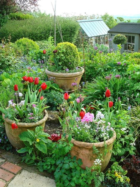 Edible Gardens, Potager Garden, Meteor Garden 2018, Have Inspiration, Garden Containers, Container Gardens, Garden Club, Olive Garden, Kew Gardens