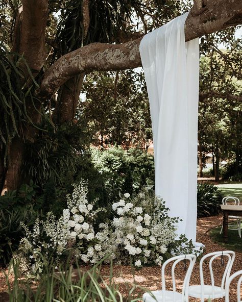 Intimate Ceremony, Ceremony Design, Wedding Set Up, Blue Baby Shower, Ceremony Backdrop, Fig Tree, Wedding Mood Board, Wedding Mood, Italian Wedding