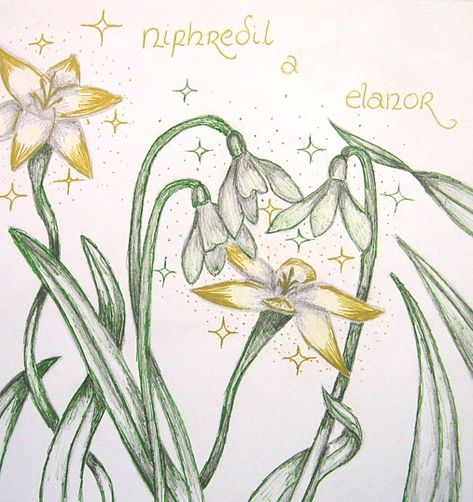 Niphredil and Elanor by Alison Morgan Elanor Flower, Flower For Tattoo, Elven Tree, Lotr Tattoo, Tolkien Books, Thranduil, Jrr Tolkien, Gandalf, Legolas