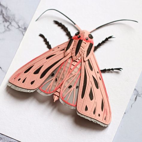 Anouk 🌞 Paper Artist (@kauri_paperstudio) • Instagram photos and videos Insect Crafts, Frame 3d, 3d Paper Art, Moth Art, Bug Art, Paper Collage Art, Paper Lovers, Paper Butterfly, Paper Animals