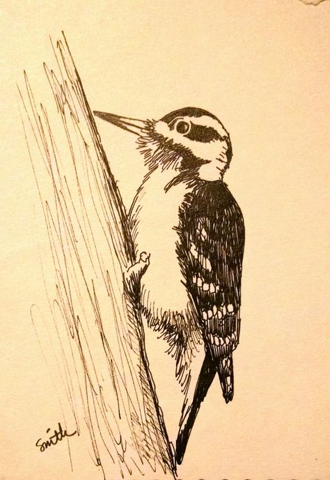 Woodpecker Sketch, Downy Woodpecker Drawing, Downy Woodpecker Tattoo, Woodpecker Drawing, Woodpecker Tattoo, Letter Art Design, Bird Sketch, Cabin Art, Bird Crafts