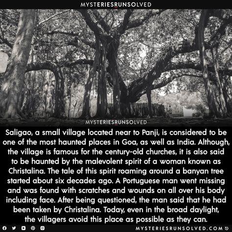 Urban Legends Stories, Paranormal Facts, Creepy Pokemon, Creepy Places, Haunting Photos, Urban Legend, Haunted History, Dark Sense Of Humor, Creepy Facts