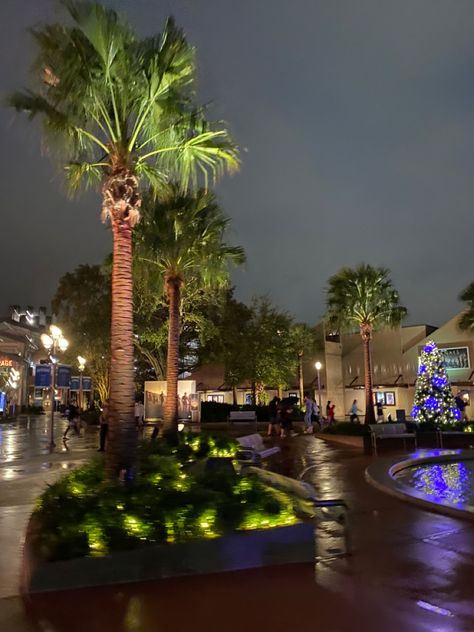 #disneysprings #shopping #walk #orlando #orlandoflorida #florida Orlando Florida Downtown, Florida Aesthetic Orlando, Florida Vision Board, Disney Springs Aesthetic, City Walk Orlando, Orlando Florida Aesthetic, Florida At Night, Orlando Pictures, Orlando Florida City