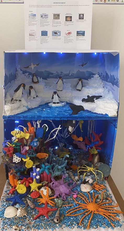 Animal Diarama Ideas, School Exhibition Ideas Display, Animal Habitat Project, Animal Science Projects, Ecosystems Diorama, Ocean Diorama, Aquarium Craft, School Exhibition, Art Competition Ideas