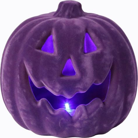 8" Flocked Pumpkin,Led Purple Halloween, First Communion Dresses, Popular Toys, Velvet Pumpkins, Wedding Flower Girl, Buy Buy Baby, Scary Halloween, Online Home Decor Stores, Pottery Barn Kids