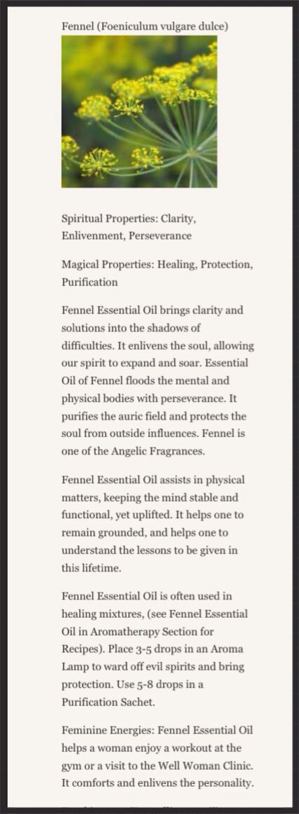 Fennel Magical Properties, Fennel Seed Magical Properties, Herb Meanings, Fennel Essential Oil, Magickal Herbs, Ayurvedic Healing, Healing Herbs, Fennel Seeds, Spiritual Meaning