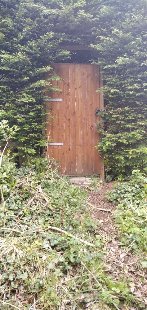 A wooden door in the middle of the trees fantasy mystery Door In The Forest, Fantasy Door, Forest Door, In The Forest, Nara, The Forest, Forest, Natural Landmarks, Collage