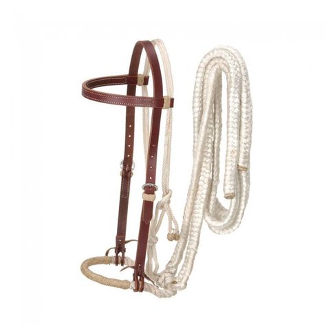 Royal King Loping Hackamore Breaking A Horse, Gold Plated Watch, Horse Trainer, Horse Bridle, Royal King, Horse Gear, Horse Supplies, Horse Bits, Western Saddle