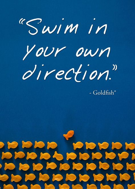 "Swim in your own direction." Wise words from a Goldfish cracker. #quote #innovation Fish Quotes Inspirational, Fish Quotes Funny, Quotes About Swimming, Fish Sayings, Fish Quotes, Swim Quotes, Words From A, Swimming Quotes, Swimming Fish