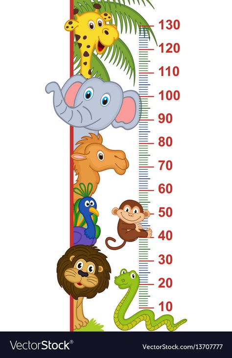 Zoo animal height measure Royalty Free Vector Image School Wall Art Ideas, School Wall Decoration, Kids Classroom Decor, School Wall Art, School Painting, Height Chart, Kids Classroom, Zoo Animal, Class Decoration