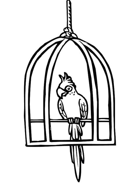 Parrot Cute Bird Cage Coloring Pages : Best Place to Color Cage Drawing, Parrot Drawing, Bird In A Cage, Easy Bird, Black And White Birds, Small Animal Cage, Bird Coloring Pages, Ancient Animals, Picture Description