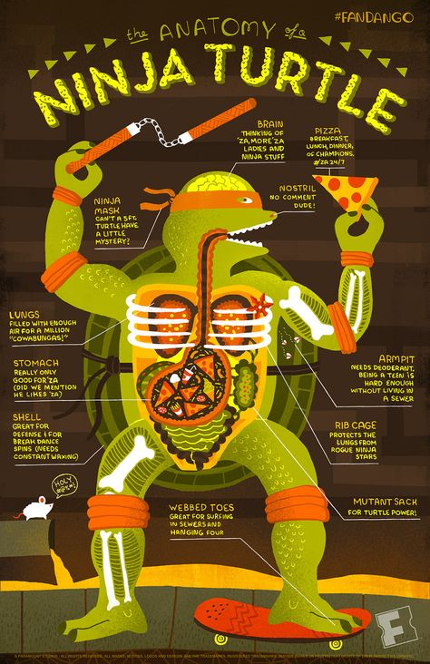 Infographic: The Anatomy of a Ninja Turtle | Fandango Anatomy Infographic, Illustrative Infographic, Infographic Design Animal, Dragon Infographic, Dinosaur Infographic, Turtle Infographic, Tiger Infographic, Ninja Turtle, Infographic Illustration