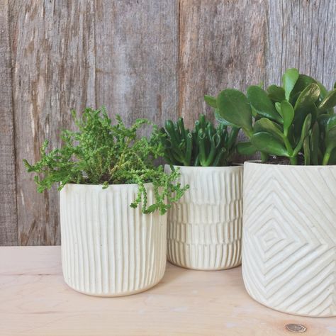 Carved planters / handmade in Austin, TX / Javelina Ranch Macetas Ceramica Ideas, Ceramic Pottery Planters, Ceramica Artistica Ideas, Pottery Plant Pots, Ideas Ceramica, Ceramica Ideas, Handmade Ceramic Planters, Pottery Pots, Handmade Planter