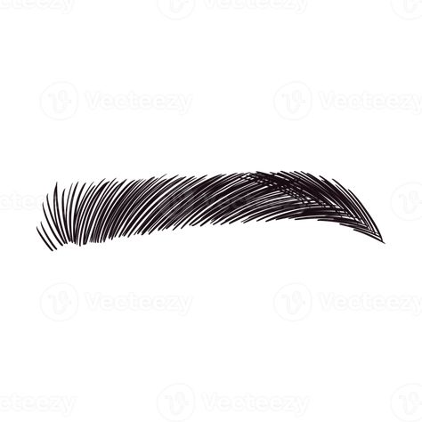 negro Derecho ceja dibujo Eyebrow Drawing, Drawing Videos, Eyebrows, Illustrations, Collage, Drawings, Pins