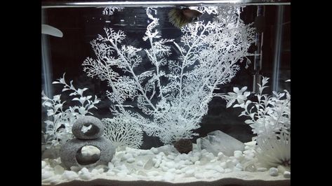 Gorgeous white tank decor Black And White Fish Tank Ideas, All White Fish Tank, Black And White Aquarium, White Fish Tank Ideas, White Fish Tank Decor, Black And White Fish Tank, White Fish Tank, White Aquarium, Fish Tank Ideas