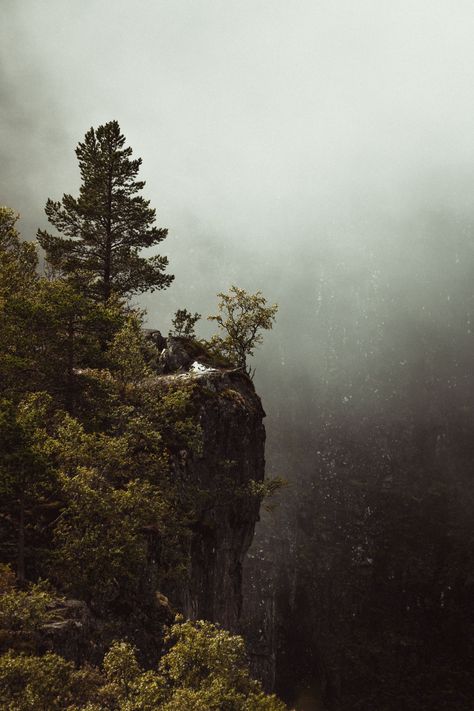 Moody Prints, Wilderness Aesthetic, Norway Forest, Fjord Norway, Norway Landscape, Moody Landscape, Between Two Worlds, Photography Series, Forest Photography