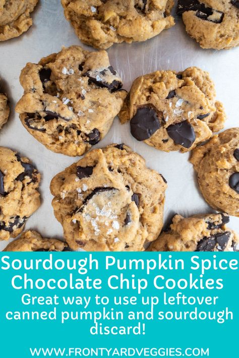 Sourdough Discard Pumpkin Cookies, Sourdough Pumpkin Chocolate Chip Cookies, Pumpkin Spice Chocolate Chip Cookies, Pumpkin Granola Recipe, Cookies With Brown Butter, Pumpkin Spice Chocolate, Sourdough Pumpkin, Recipe Using Sourdough Starter, Discard Recipe