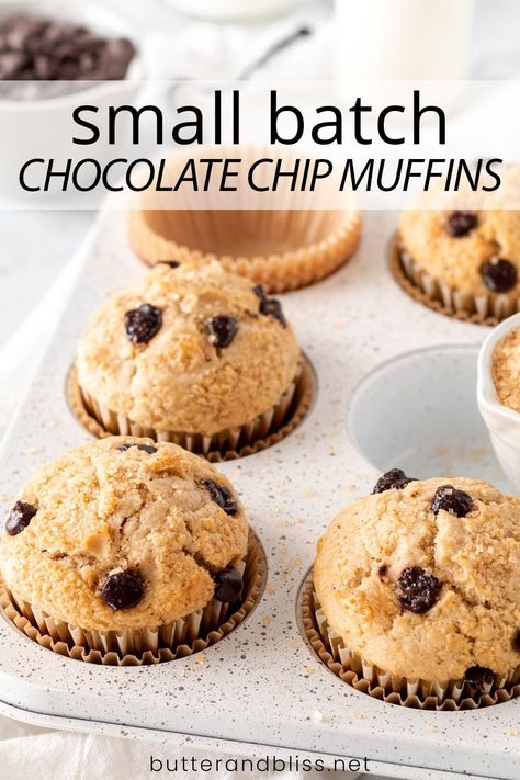 Small Batch Muffins Chocolate Chip, Chocolate Chip Muffins Small Batch, Small Batch Muffins Breakfast, Small Batch Mini Muffins, Small Batch Chocolate Chip Muffins, Small Batch Muffin Recipe, Frugal Desserts, Small Batch Muffins, Muffin Batter Recipe