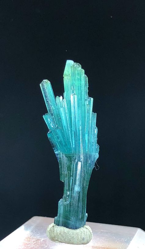 Natural Indicolite Blue Tourmaline Crystals, Raw Minerals, Mineral Specimens, Tourmaline Crystals From Afghanistan - 6.95  Carats Dancing Turtle, Pandora's Box, Jewelry Stones, Minecraft Inspiration, Paraiba Tourmaline, Raw Minerals, Blue Tourmaline, Gemstones Crystals, Tourmaline Crystal