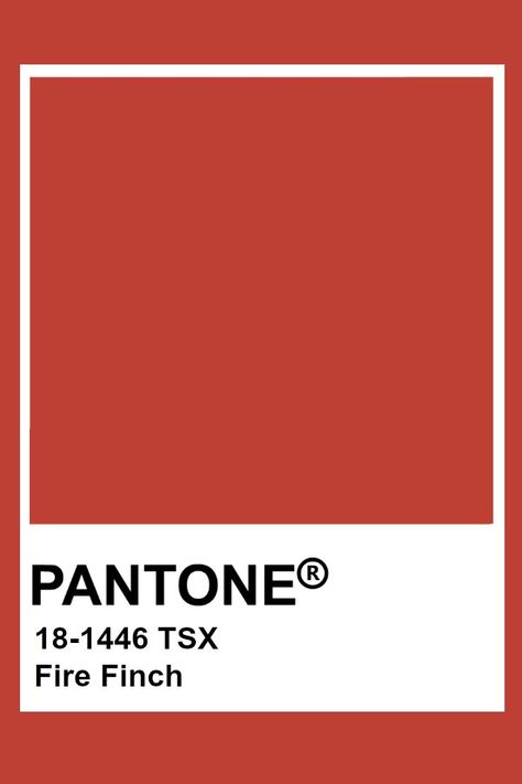 Pantone Fire Finch Pantone Red, Colourful Things, Pantone Colours, Pantone Color Chart, Color Knowledge, Pantone Palette, Pantone Colour Palettes, Pantone Colors, Color Chip