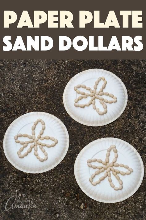 Bring home the beach vibes by making these fun and easy paper plate sand dollars with the kids! They'll love to create their own sand dollar. #beach #beachcrafts #kidscrafts #sanddollar #paperplatecraft Sand Art Activities For Preschool, At The Beach Crafts For Preschoolers, Beach Activities For School Age, Seashell Preschool Craft, Beach Bash Crafts For Kids, Prek Beach Activities, Beach Activity Preschool, Creative Curriculum Sand Study, Sand Theme Preschool