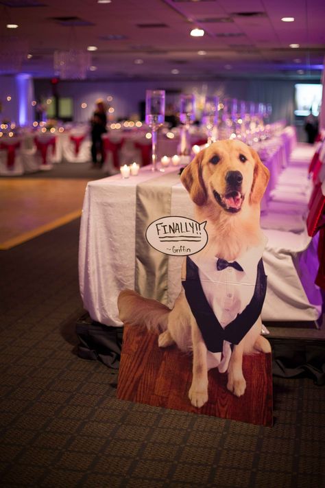 Dog Memorial Wedding, Include Dog In Wedding, Pets In Wedding Decor, Incorporating Dog Into Wedding, Incorporate Dog In Wedding, Dog Cardboard Cutout Wedding, Incorporating Dogs In Wedding Decor, Wedding Incorporating Dogs, Wedding Including Dog