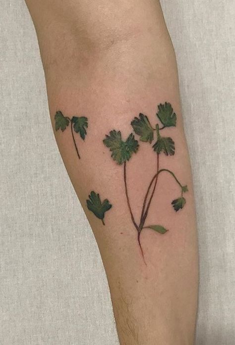 Cilantro Tattoo, Leaves Tattoo, Plant Tattoo, Chefs Hat, Tomato Soup, Arm Tattoo, Maple Leaf Tattoo, Blackwork, Cilantro