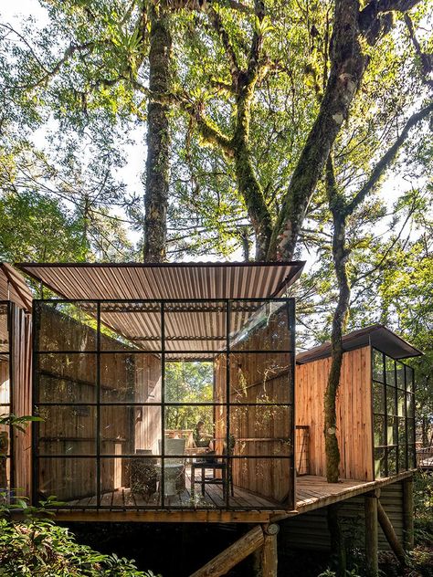 a set of wooden restroom cabins peeks through the treetops of native forest in são francisco Cabin Proposal, Brazilian Landscape, Casa Cook Hotel, Raw Architecture, Architecture Workshop, Sand House, Studio Mk27, Casa Cook, Sao Francisco