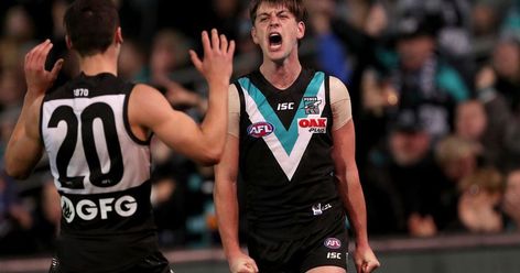 Zak Butters, Connor Rozee, Port Adelaide, Smash Cake, Pear, Sports Jersey, Cake, Quick Saves