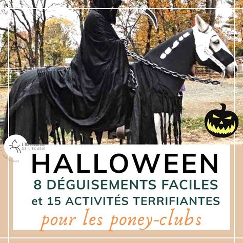 Envie de fêter Halloween aux écuries avec votre cheval et vos amis ? Voici 8 idées de déguisement et 15 activités terrifiantes à organiser ! Top pour les poney club ! Horse Halloween Ideas, Horse Fancy Dress, Horse Halloween Costumes, Horse Halloween, Animal Dress, Foam Armor, Christmas Fancy Dress, Horse Ideas, Horse Costumes