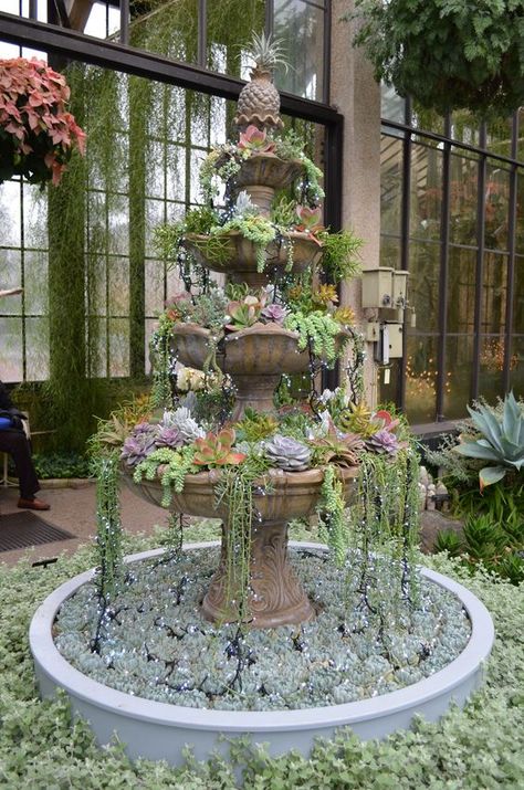 Echeveria Imbricata, Homemade Garden, Succulent Garden Design, Succulent Garden Diy, Longwood Gardens, Succulent Gardening, Garden Fountain, Front Entrance, Magical Garden