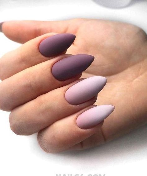 Best Nail Designs, Flower Nail Designs, Popular Nails, Fall Nail Colors, Gel Nail Designs, Fall Nail, Best Nail, Cool Nail Designs, Purple Nails