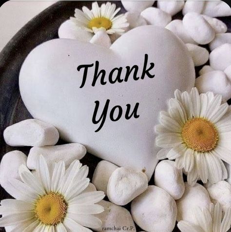 Thankful Quotes For Friends, Thank You Quotes For Friends, Thank You Quotes Gratitude, Thank You Messages Gratitude, Thank You Wallpaper, Good Wishes Quotes, Thank You For Birthday Wishes, Message For Best Friend, Thank You Pictures