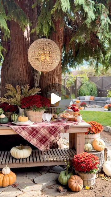 Kara Bowman on Instagram: "How to set up the perfect ✨FANCY✨ apple cider bar!🍎

I get so many requests to SHOW the set up process of my entertainment spaces… so here you go! And read below for my tips to pull off the perfect apple cider bar!

1. LOCATION: First find a space in your yard that is accessible and has an aesthetically pleasing background. I love setting up bars in front of our large cedar tree, but I’ve also done it near our firepit area and in front of our shed.

2. BAR CART: We built our large outdoor server, but there are also quite a few premade bar carts that are awesome!

3. LAYERS: This is an important one! For cider bars, my layers always consist of a table cloth or throw, mums/fall foliage, pumpkins and apples. For this one I used fancy stemware and ironstone serving Pleasing Background, Apple Cider Bar, Cider Bar, Cedar Tree, We Shed, Fire Pit Area, Cedar Trees, Bar Carts, How To Set Up