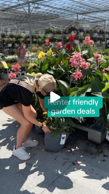 Garden design & Gardening ideas • Hydrangea 👑 on Instagram: "Planty deal alert 👀 will you find it???? I found these in Salt Lake City 👀 🌱💚 AND it comes in a self watering pot! 😍🙌🏼

Plant deal, renter friendly, plant, garden, garden deal
Patio design 

#gardendeal #renterfriendly #patiogarden #patiogardening #patiodesign 

Spotted yesterday @homedepot grown by my local grower @olsons_greenhouse_gardens 💚" Renter Friendly Patio, Greenhouse Gardens, Curb Appeal Garden, Watering Pot, Self Watering Pots, Plant Garden, Greenhouse Gardening, Self Watering, Renter Friendly