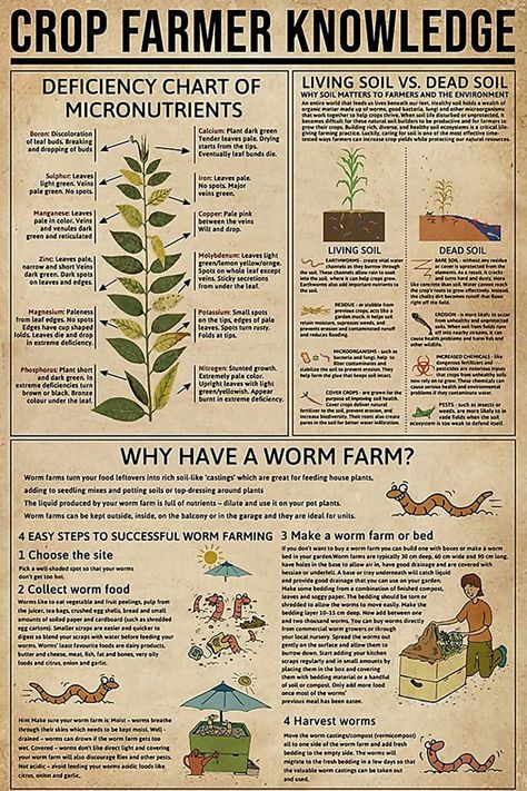 Crop Farmer Knowledge Metal Tin Sign Farm Gardening Planting Guide Poster, worm farm, micronutrients, living soil, soil deficiency, phospohorus, nitorgen, boron, microorganism, zinc, manesium, soil nutrients, biodiversity Gardening Planting, Planting Guide, Metal Tin, Wall Decoration, Planting, Home Kitchen, Farmer, Tin, Farmhouse